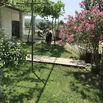 Διαμέρισμα Nena *